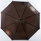 Зонт ArtRain 3917-05 мужской 