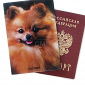Обложка для паспорта Шпиц 